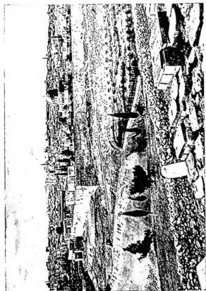 Plate XV