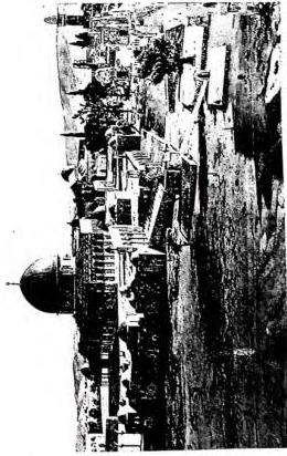 Plate XV