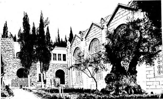 Above: BASILICA SEEN FROM THE WEST with a very ancient olive tree. The church is architecture by A. Barluzzi.