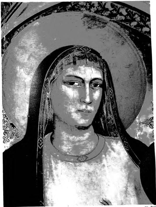 MADONNA D'OGNISSANTI. Detail - Florence, Galleria degli Uffizi.