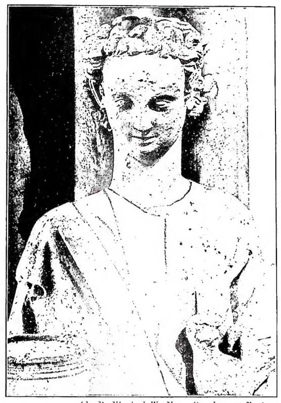 Article illustration