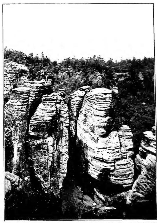 Article illustration