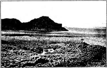 Article illustration