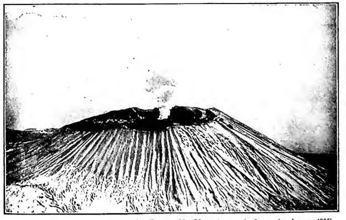 Article illustration