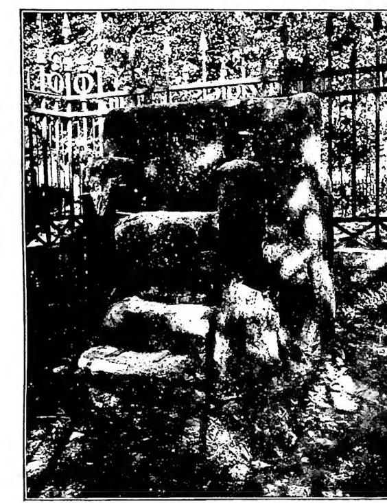 Article illustration