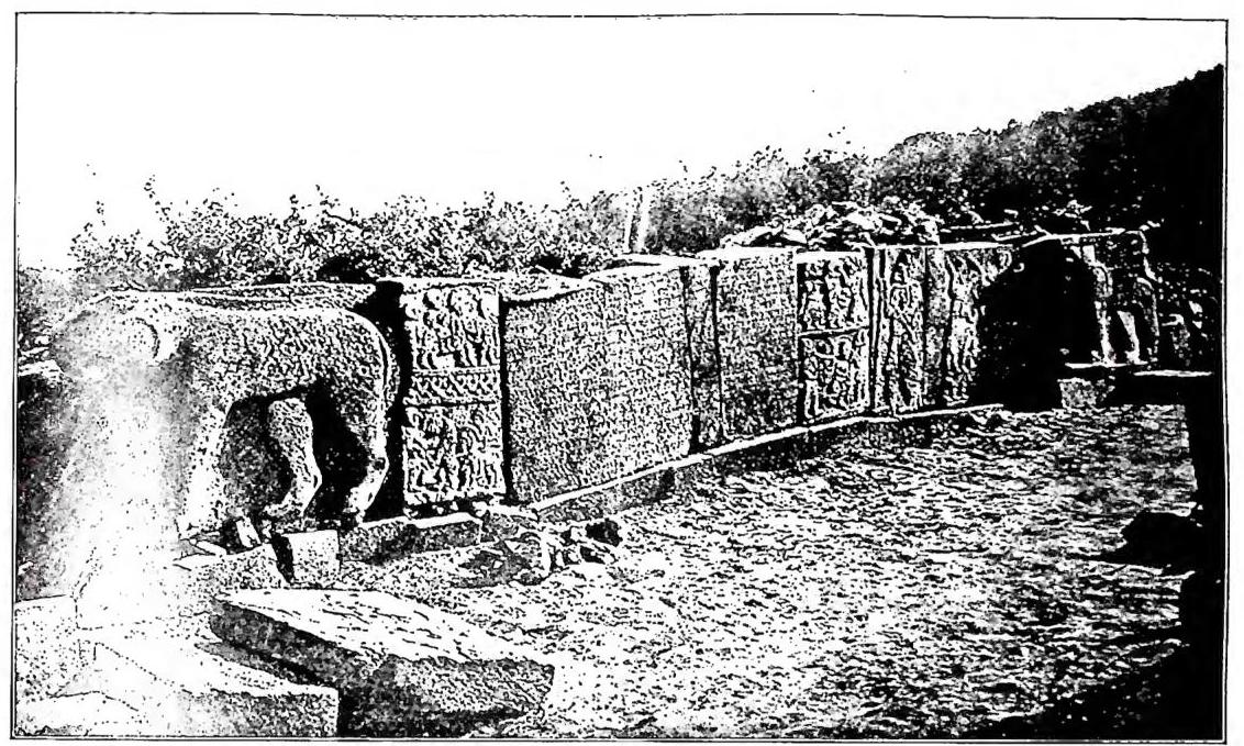 Article illustration