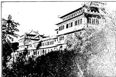 Article illustration