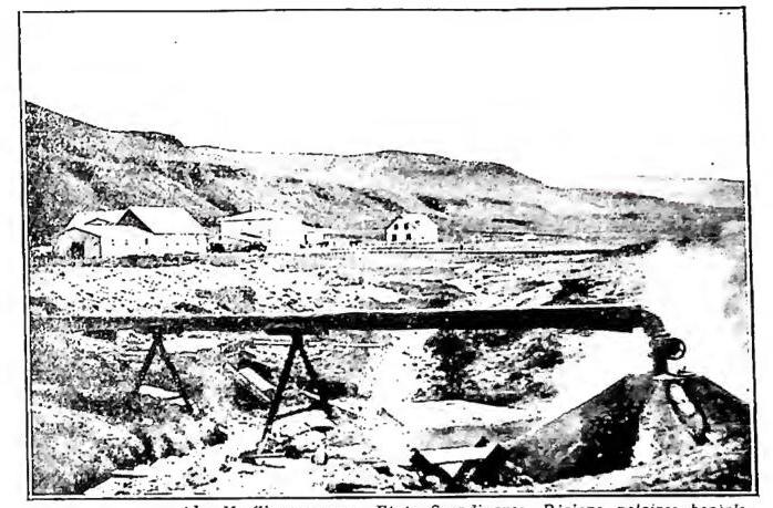 Article illustration