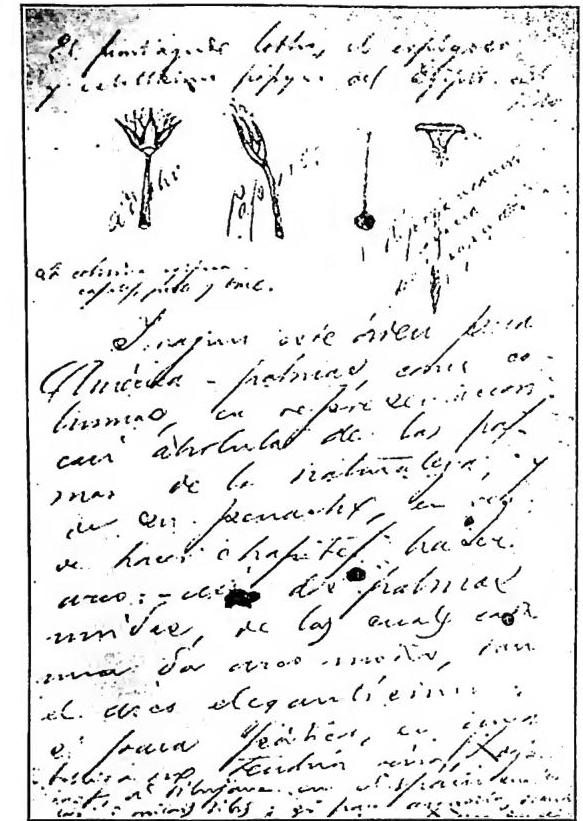 Article illustration
