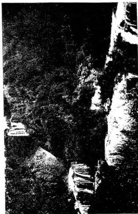 In basso a sinistra: PINETA DI CLASSE DI RAVENNA. In basso a destra: CASCATA DELLE MARMORE - Terni.