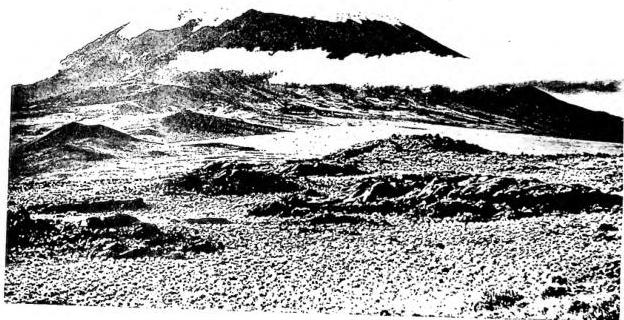 Above: VIEW OF KILIMANJARO (alt. 5,930 m).