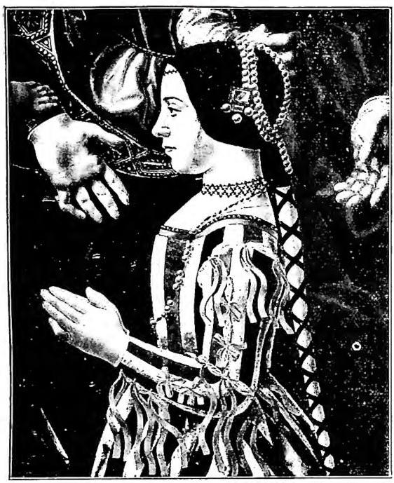 Article illustration