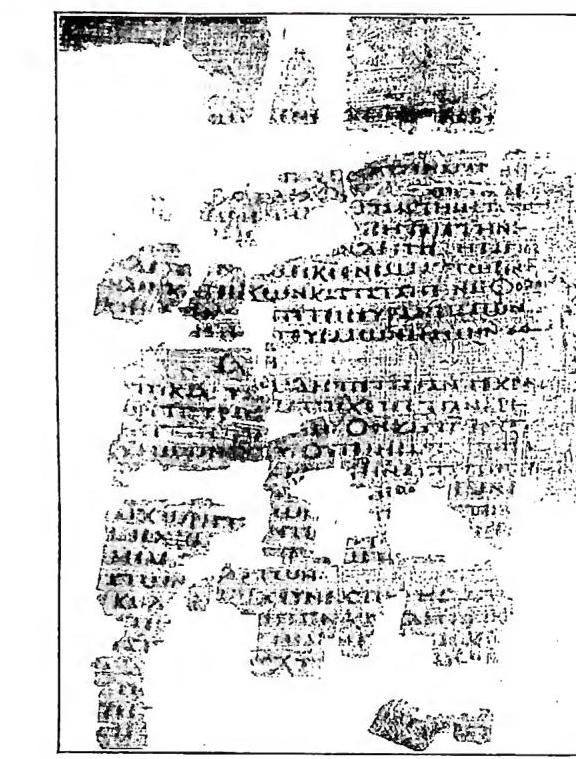 Article illustration