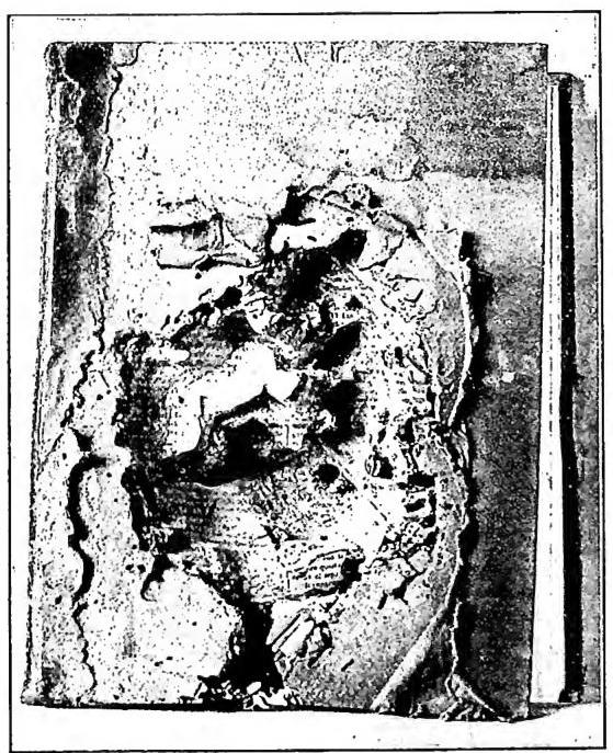 Article illustration