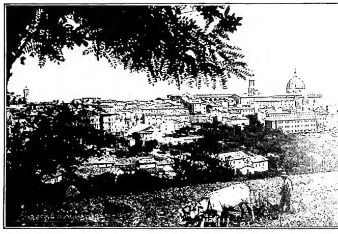 Article illustration