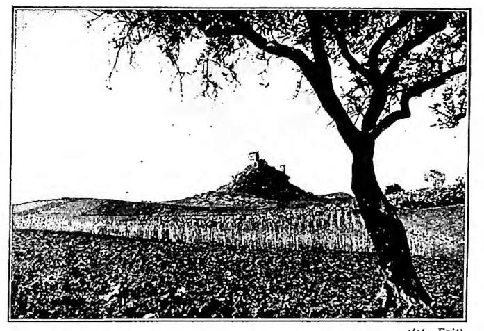 Article illustration