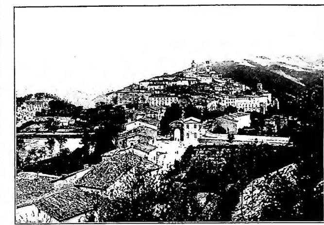 Article illustration