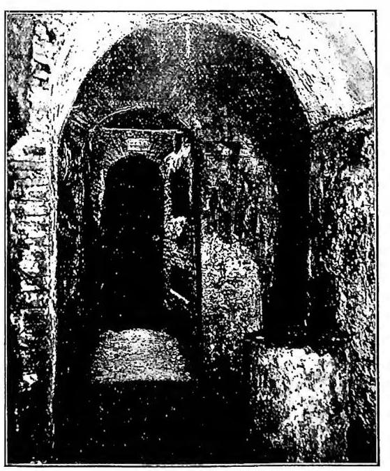 Article illustration