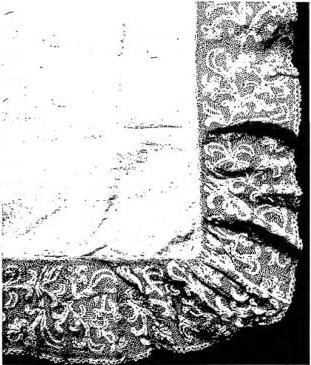 Plate XLIV