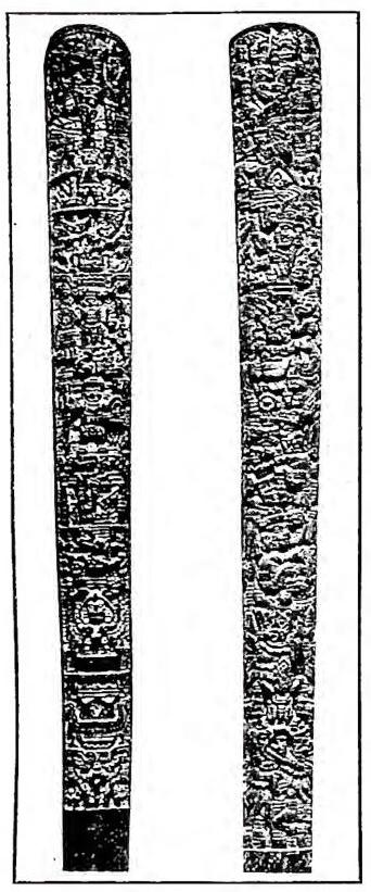 Article illustration
