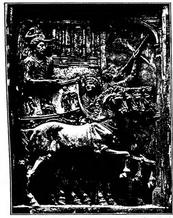 Article illustration