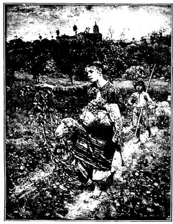 Article illustration