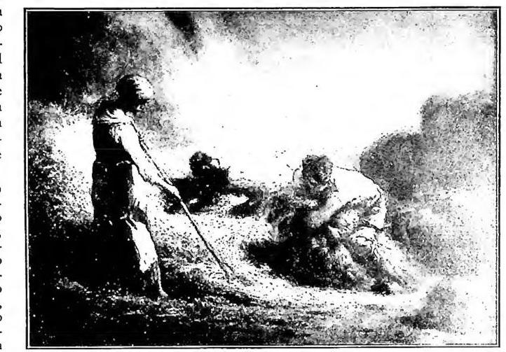 Article illustration