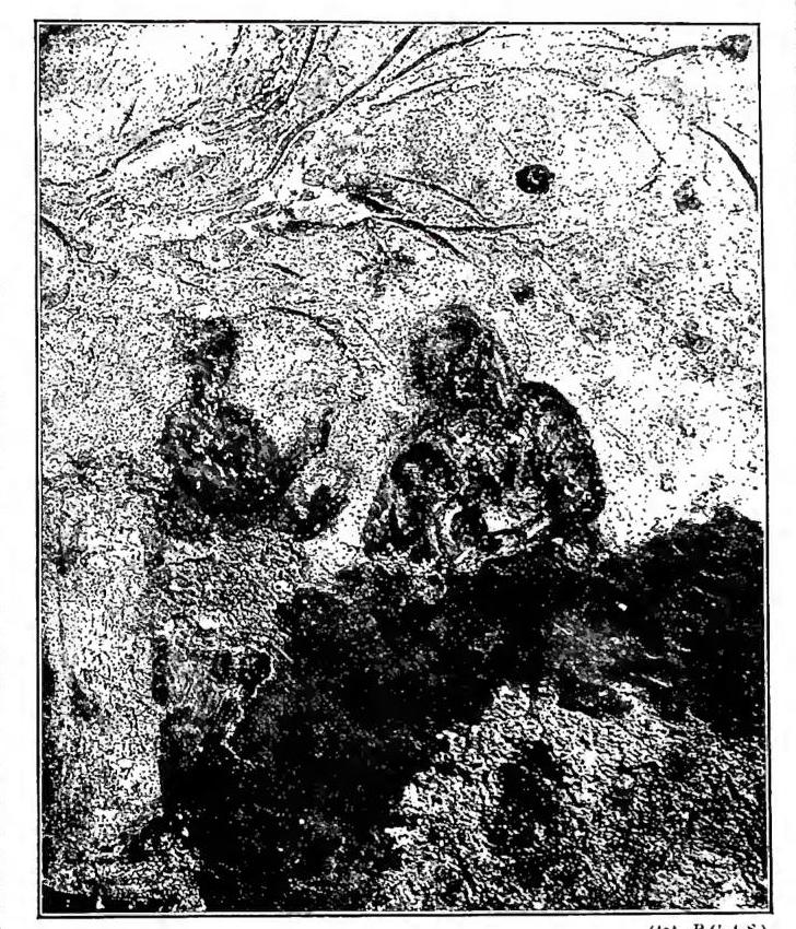 Article illustration