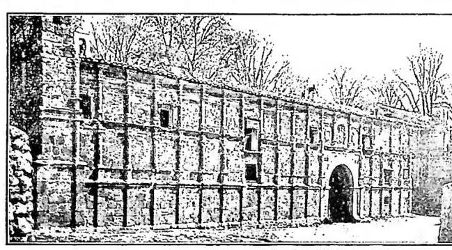 Article illustration