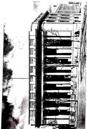 Plate XCVI