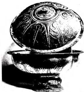 Plate XV