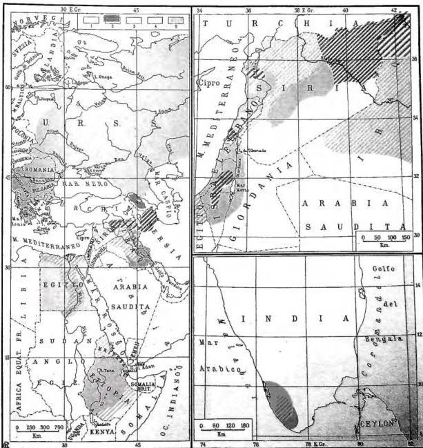1. Alexandrian Rite - 2. Armenian Rite - 3. Byzantine Rite - 4. West Syrian Rite - 5. East Syrian Rite