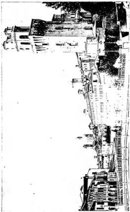 Plate XXVIII
