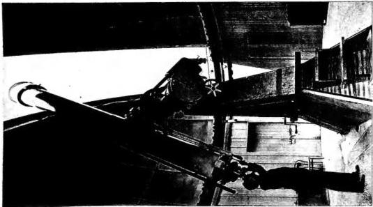 Plate XXVIII