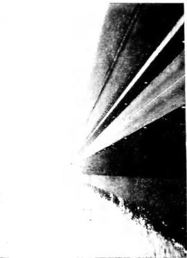 Plate XXXVII