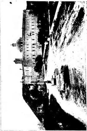 Plate XLIII