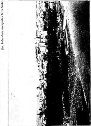 Plate XLIII