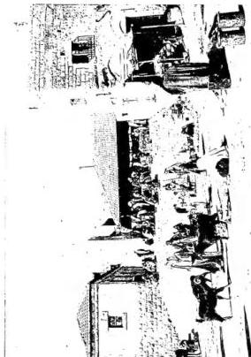 Plate XLIV
