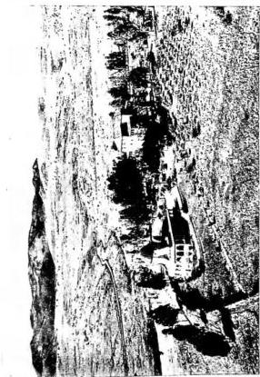 Plate XLIV