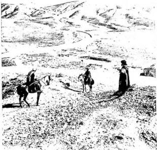 Above left: ROAD FROM JERUSALEM TO JERICHO. Ascent of Adummin. Above right: THE JORDAN. Below left: AIN KARIM. Below right: FOUNTAIN OF MOSES ('Ajn Mûsâ) - Mount Nebo.