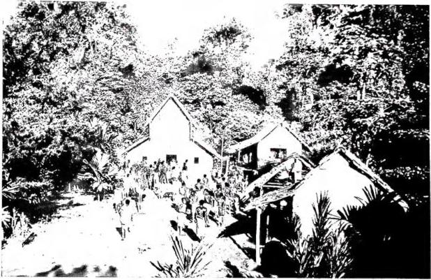 Above: NATIVES GOING TO MASS, in a wooden chapel built in the bush - Village of the Solomon Islands. Below: DWELLINGS OF THE NASIOI, built on platforms to defend themselves from wild beasts. The plant surrounded by a trellis, on the right, marks the place of cremation of a corpse, which will be cut down at the end of the funeral rites, after years - Solomon Islands.