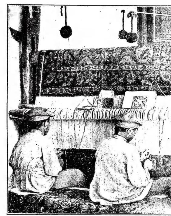 Article illustration