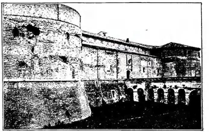 Article illustration
