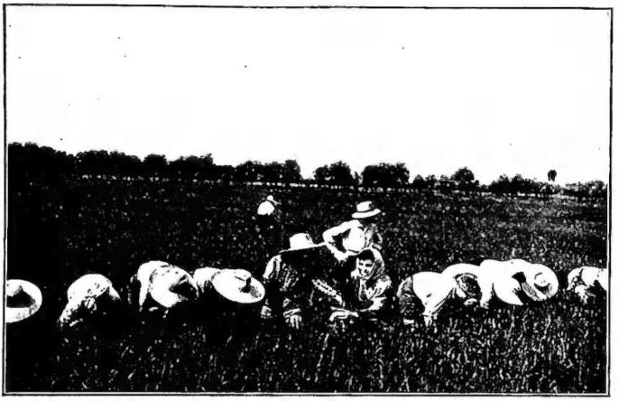 Article illustration