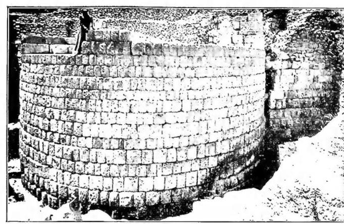 Article illustration