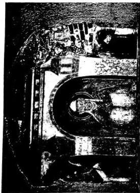 Tav. CXIV