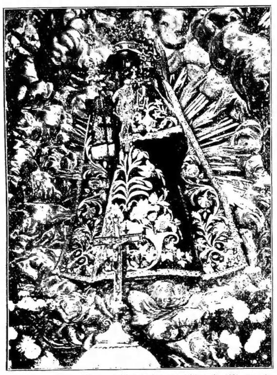 Article illustration