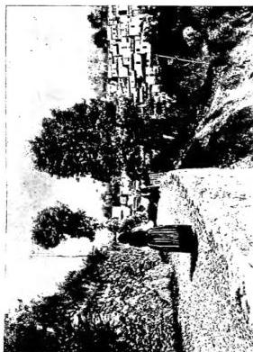 Above left: COASTAL ROAD CAGLIARI-VILLASIMIUS. Above right: PANORAMA OF TONARA (Nuoro). Below left: CHURCH OF ST. PETER in Pisan style lost in the countryside near Luri (Cagliari). Below right: COSTUMES - Mamoiada.