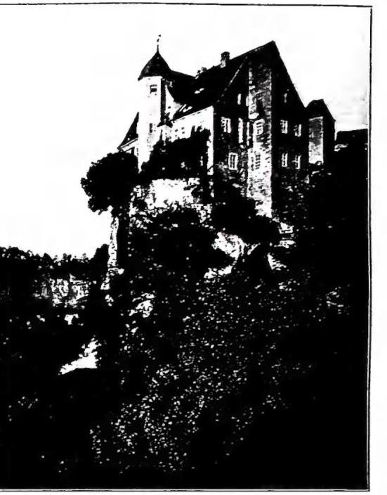 Article illustration