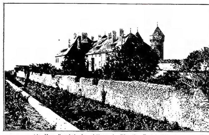 Article illustration